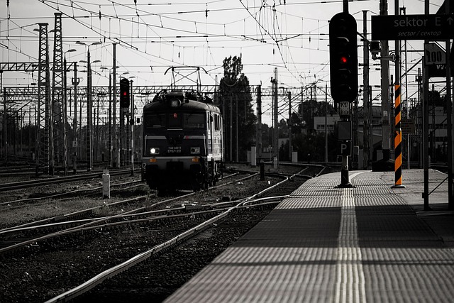 Olsztyńskie zjawisko slow life: Jak zwolnić tempo w coraz szybszym świecie? - 5 2025